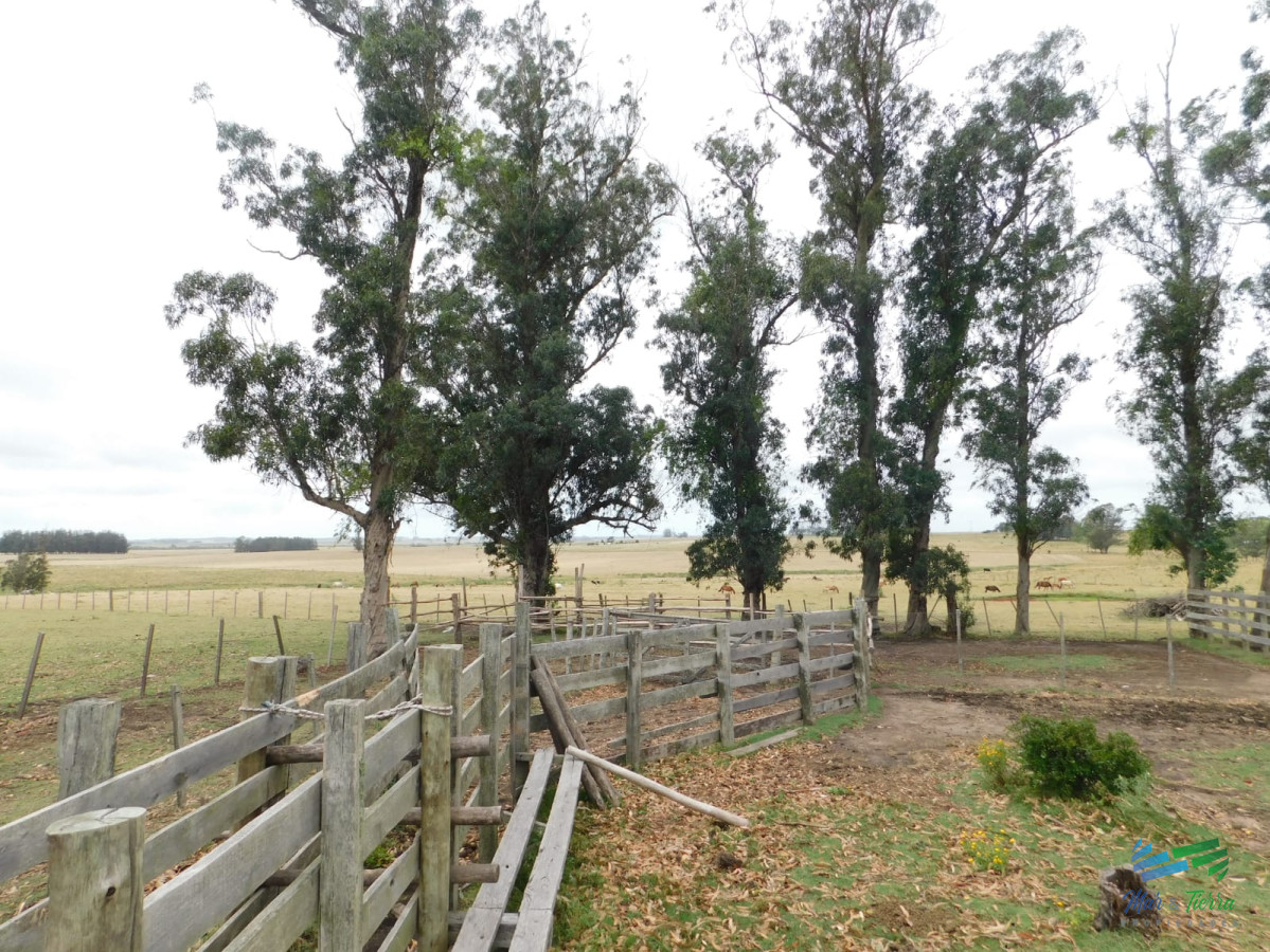 Chacra ID.3680 - 31 Has con casa R.9 (frente entrada Garzon)