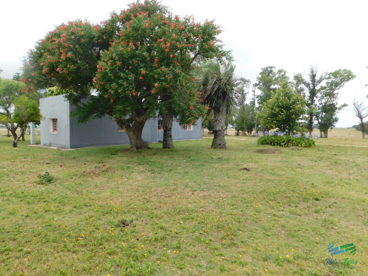 Garzon - GoPunta - Portal Inmobiliario de Punta del Este - Maldonado