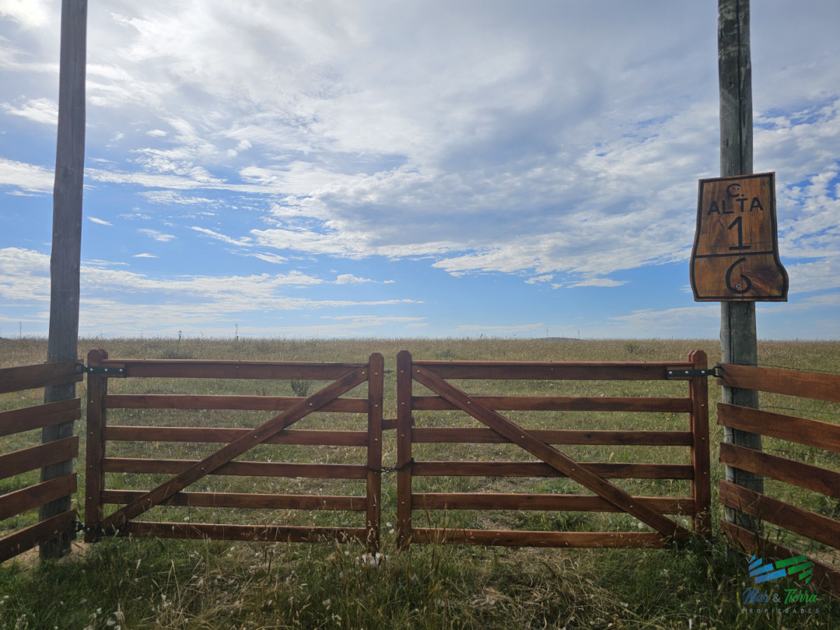 Chacra ID.5628 - En venta chacra 3 hectareas, proxima ruta 39, a pocos km de San Carlos.