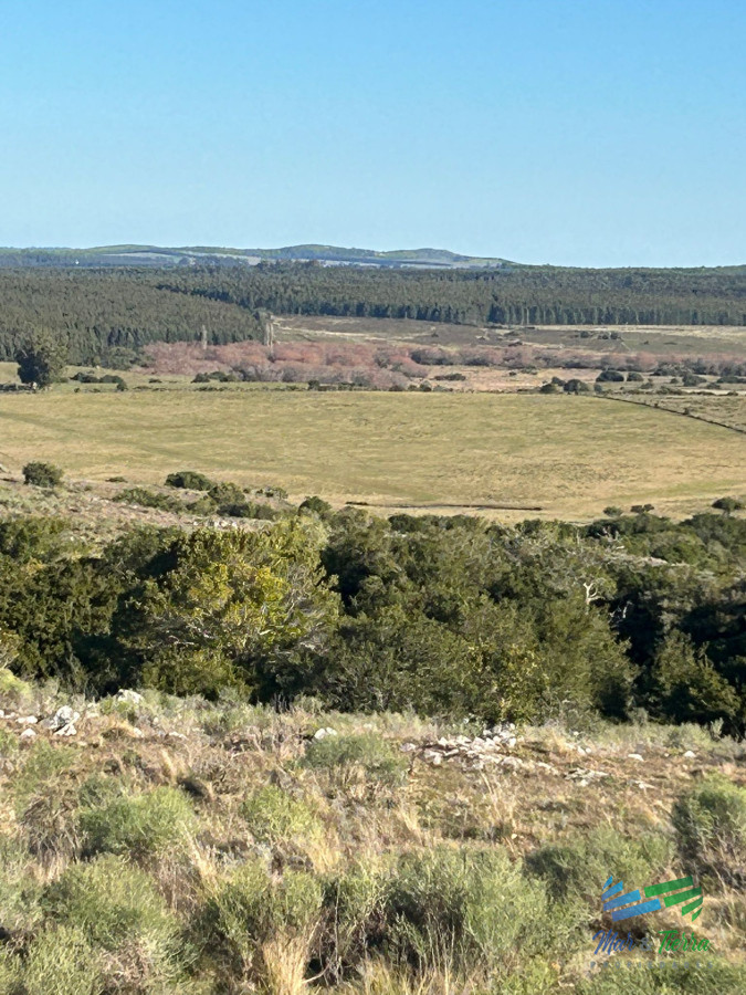 Chacra ID.5369 - Chacras de 5 Has en la Sierras, Financia hasta 6 años con una entrega del 20%