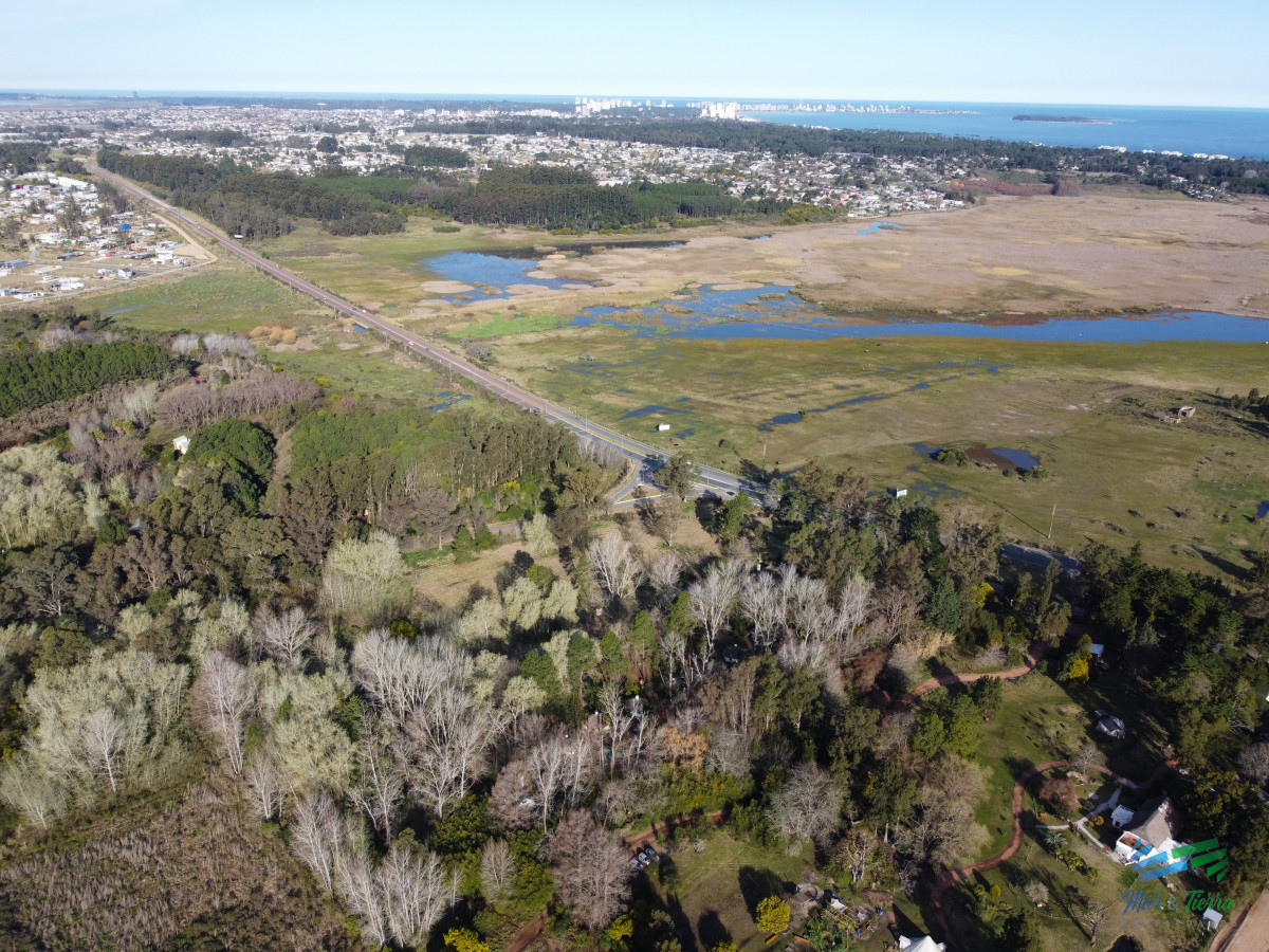 Chacra ID.5438 - Venta de chacra en Camino Lussich Punta Ballena 