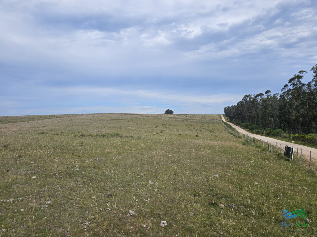 Chacra ID.5633 - En venta chacra 3 hectareas, proxima ruta 39, a pocos km de San Carlos.