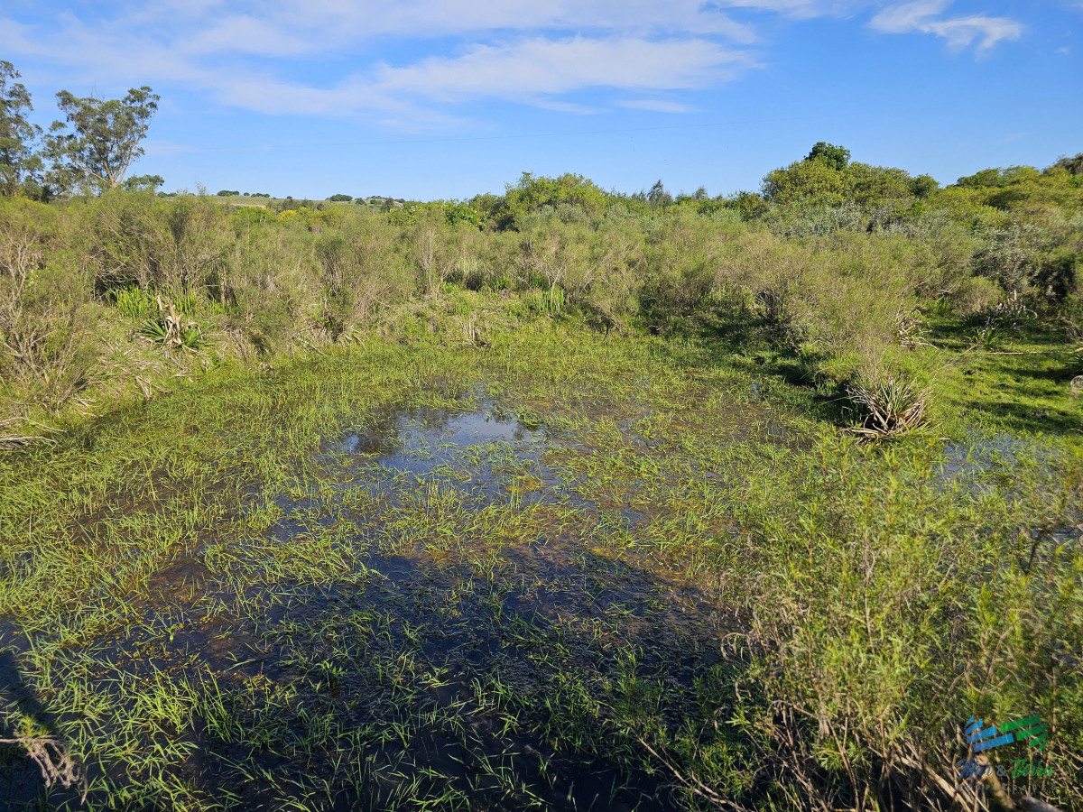 Chacra ID.4349 - Vendo chacra ruta 9, cerca de Pan de Azúcar, Maldonado. A 45´ de Punta del Este. Financia.