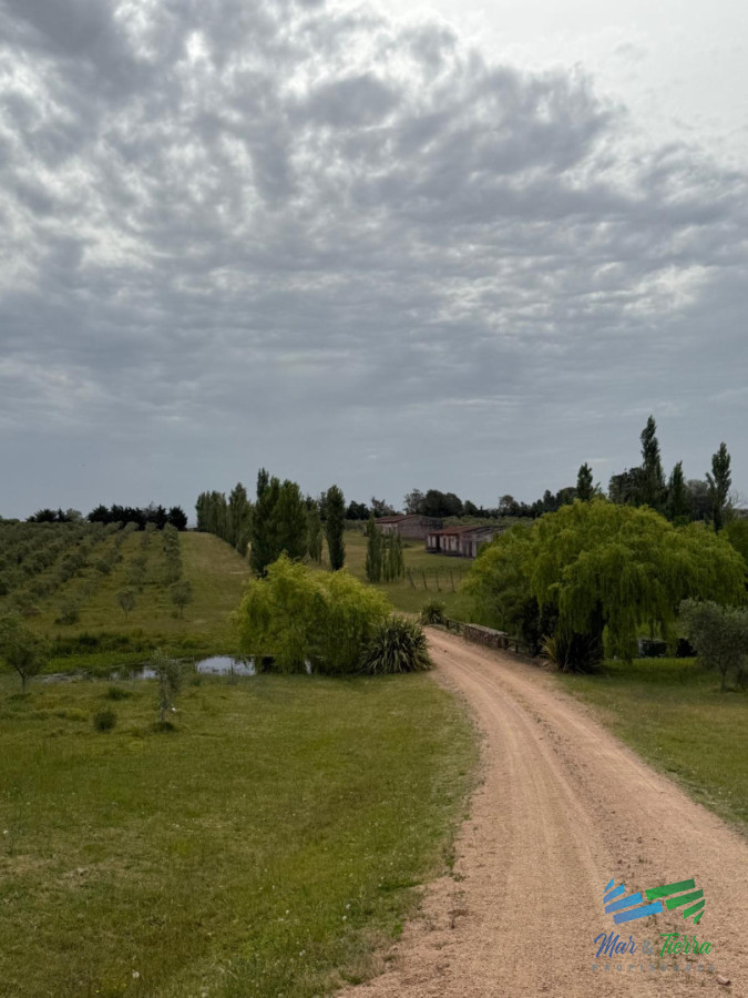 Chacra ID.5646 - Se alquila chacra a 25 minutos de Punta del Este y con las mejores vistas de la laguna del sauce!!!
