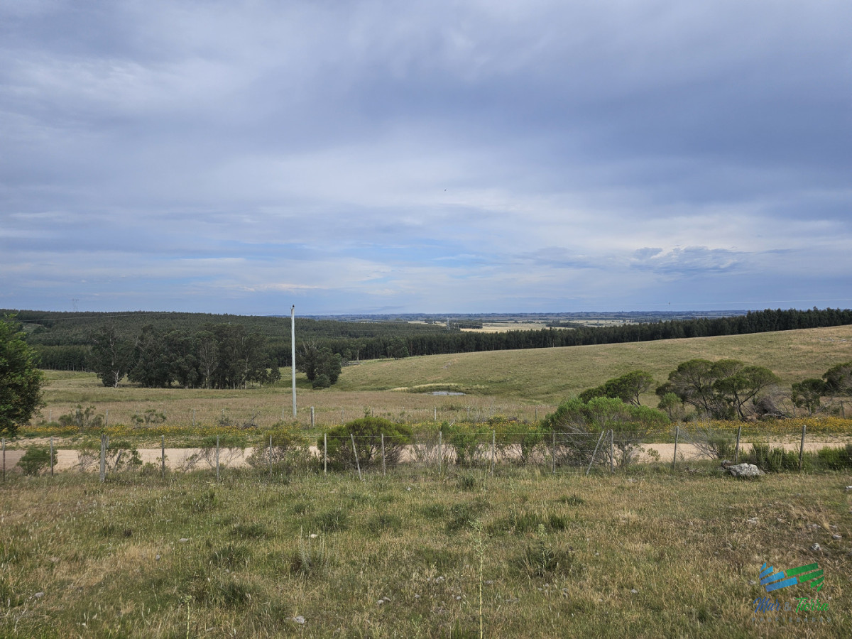 Chacra ID.5628 - En venta chacra 3 hectareas, proxima ruta 39, a pocos km de San Carlos.
