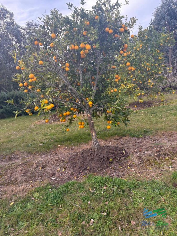 Chacra ID.5646 - Se alquila chacra a 25 minutos de Punta del Este y con las mejores vistas de la laguna del sauce!!!