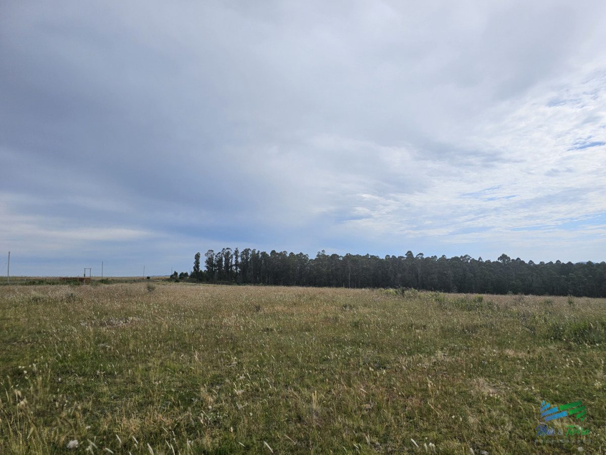 Chacra ID.5629 - En venta chacra 3 hectareas, proxima ruta 39, a pocos km de San Carlos.