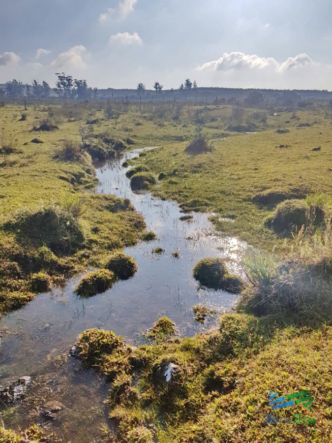 Chacra ID.3098 - Vendo chacras en Ruta 9, entre ruta 12 y Pan de Azucar, Maldonado. FINANCIO.