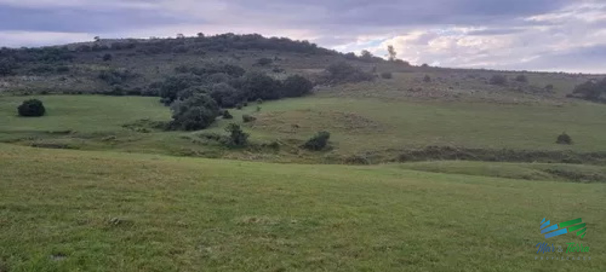 Chacra ID.4357 - Chacra de 5 Has a 5 Kms de P. Eden, Luz en portera y buen acceso