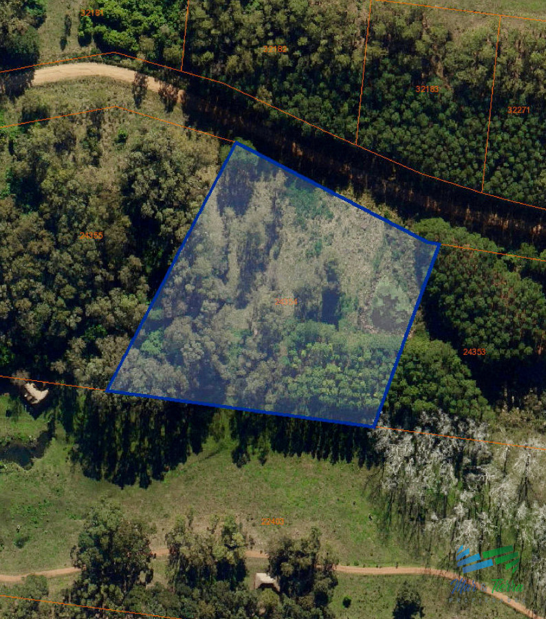 Chacra ID.5298 - En venta chacra de 1 hectarea en Laguna del Diario, Punta del Este