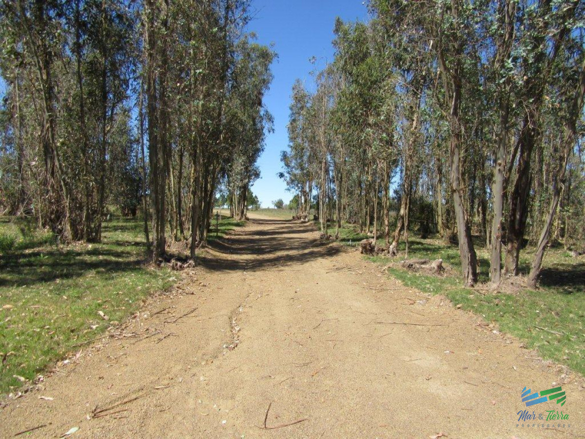 Chacra ID.3877 - 7 Has con casa a 1 hora de Mdeo y Punta.