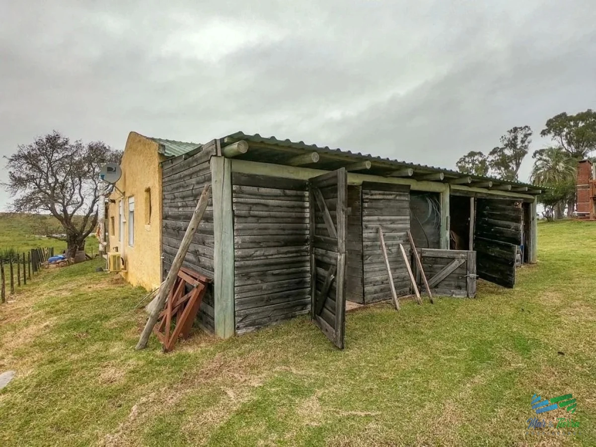 Chacra ID.4741 - Bajo de Precio !!! Casa de campo en serio, son 5 hectáreas de paz, tranquilidad y muy bien ubicada ! Fianciado hasta 6 años o Permuta chica !