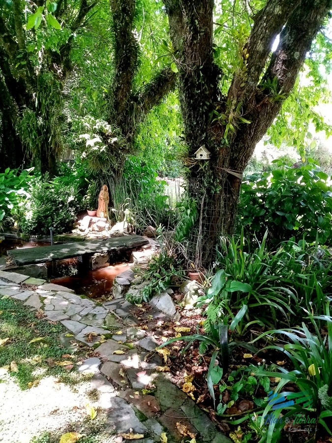 Chacra ID.4823 - Venta de estancia en Treinta y Tres, acceso por ruta 8