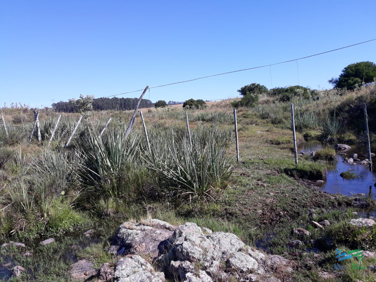 Chacra ID.4491 - Chacra 5 Has sobre R.39 a 15 Kms de Ruta 9 y 32 de Punta del Este.