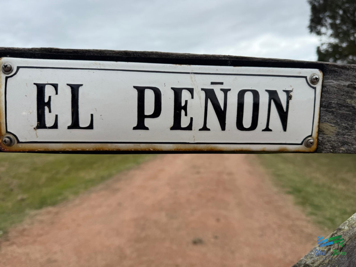 Chacra ID.5646 - Se alquila chacra a 25 minutos de Punta del Este y con las mejores vistas de la laguna del sauce!!!