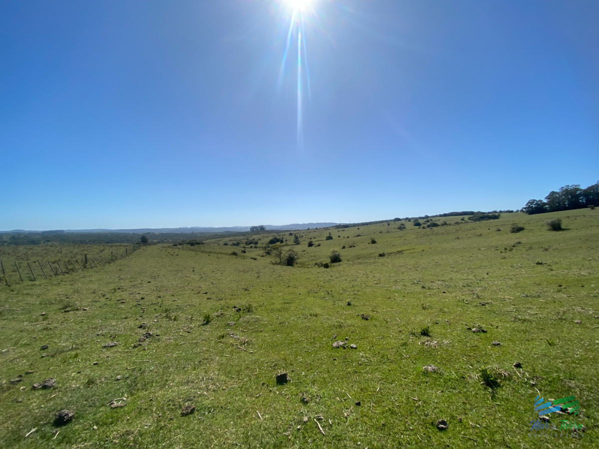 Chacra ID.4546 - Chacras con vistas Únicas, Olivos, Sierras y descanso... !! Atención Precio Rebajado !!