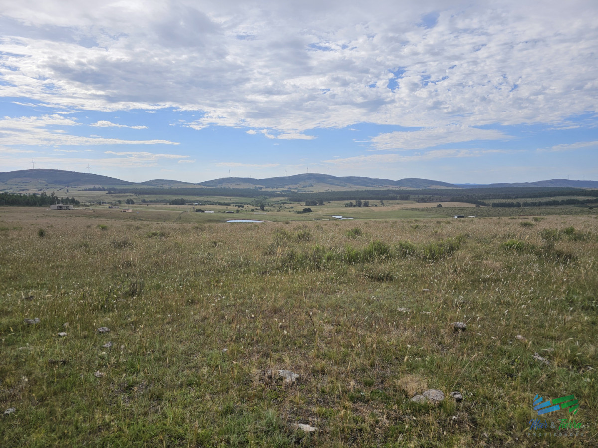 Chacra ID.5629 - En venta chacra 3 hectareas, proxima ruta 39, a pocos km de San Carlos.