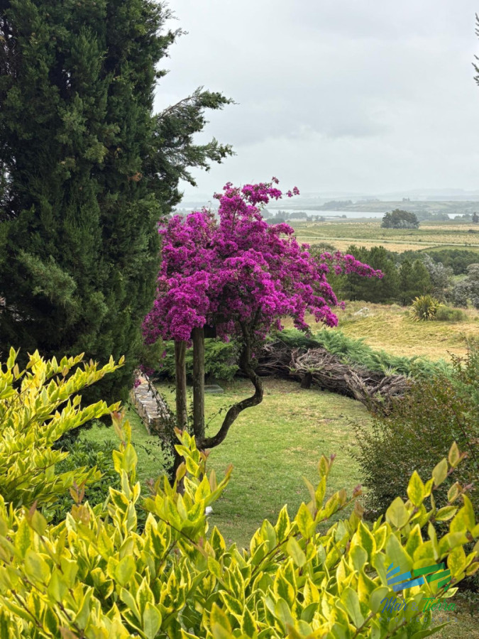 Chacra ID.5646 - Se alquila chacra a 25 minutos de Punta del Este y con las mejores vistas de la laguna del sauce!!!