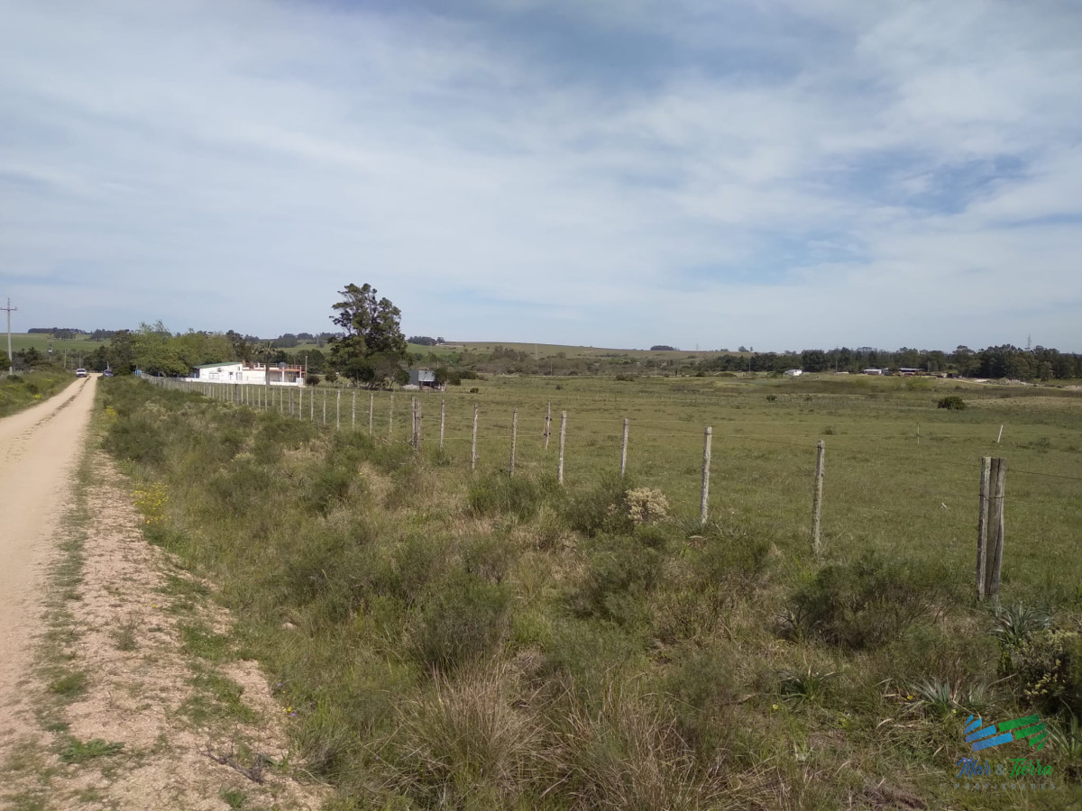 Chacra ID.3782 - 7 Has a 200 mts de Cno Sainz Martínez, José Ignacio
