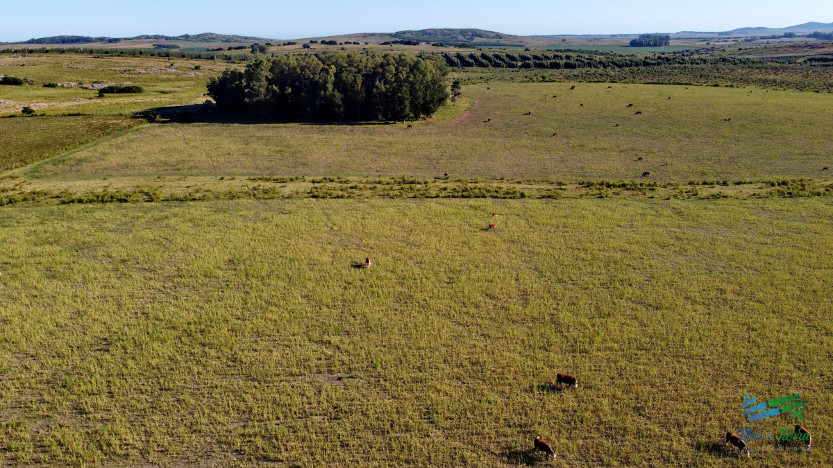 Chacra ID.5018 - Vendo chacra Ruta 9, entre ruta 12 y Pan de Azucar, Maldonado. FINANCIO.