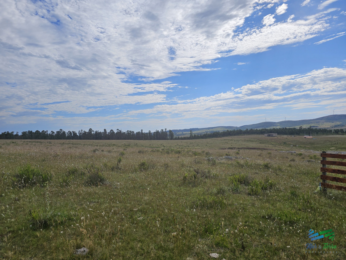 Chacra ID.5635 - En venta chacra 3 hectareas, proxima ruta 39, a pocos km de San Carlos.