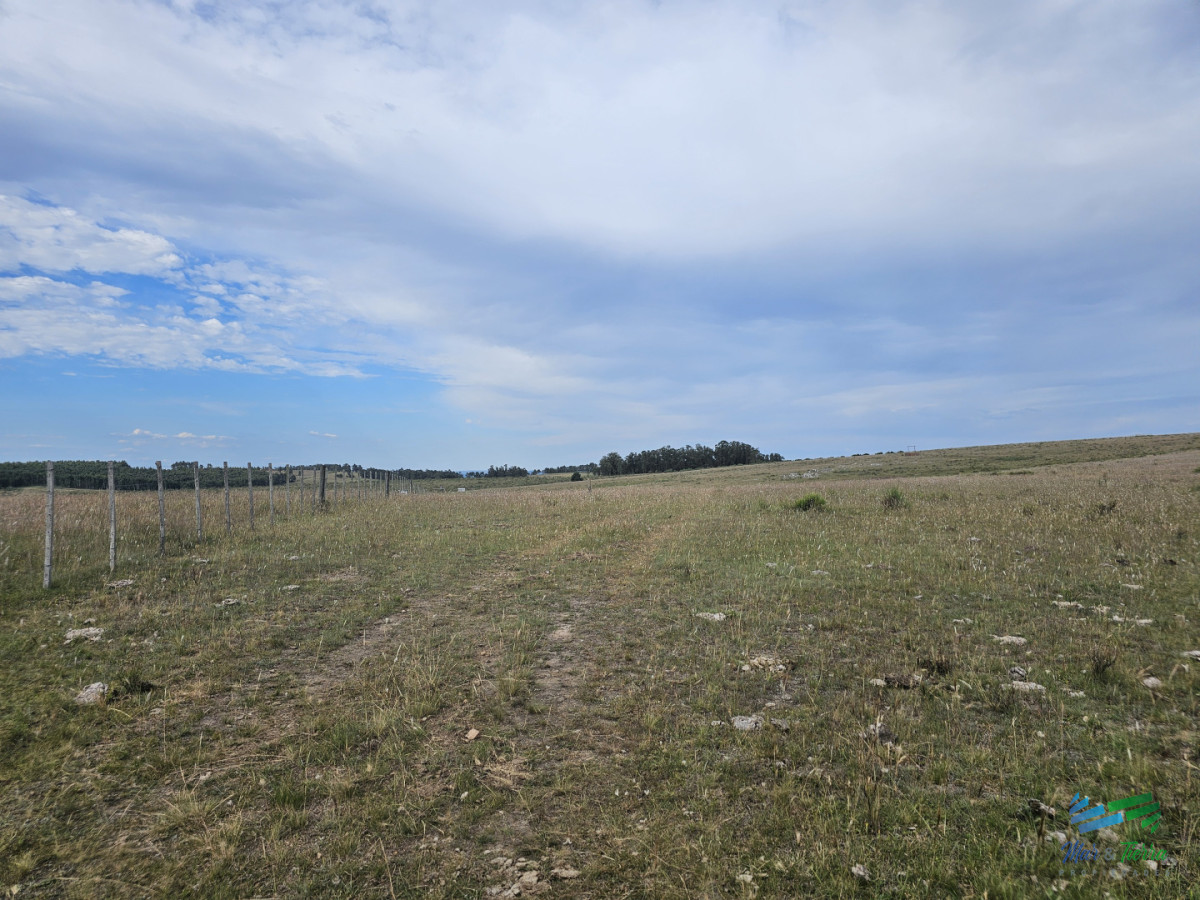Chacra ID.5633 - En venta chacra 3 hectareas, proxima ruta 39, a pocos km de San Carlos.