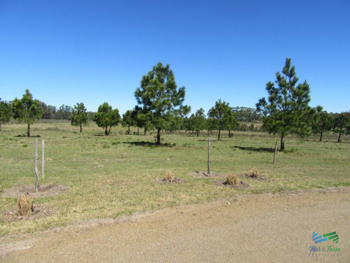 Chacra ID.3877 - 7 Has con casa a 1 hora de Mdeo y Punta.