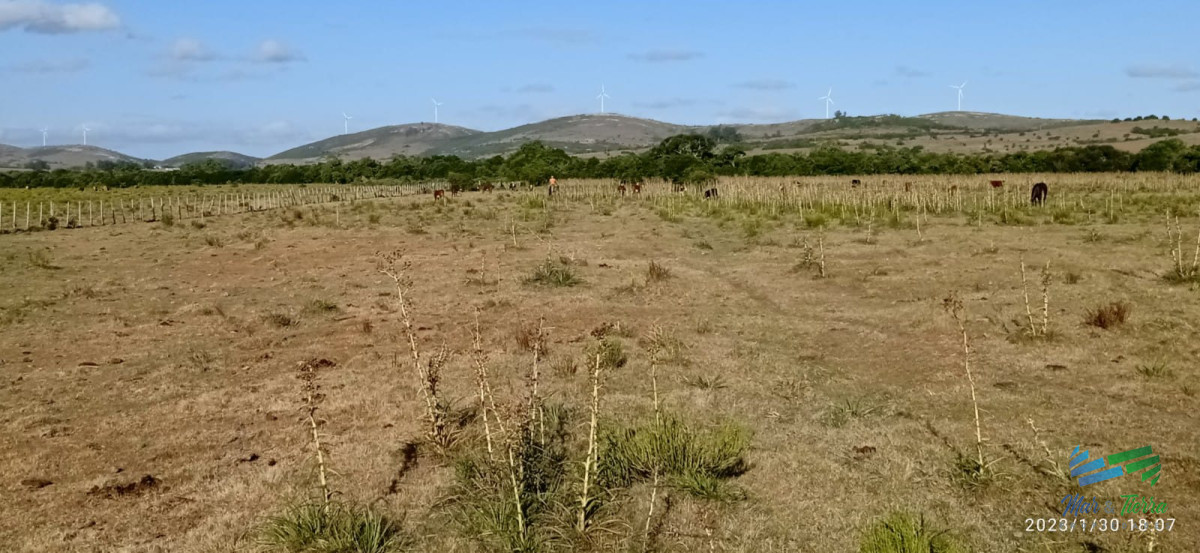 Chacra ID.4188 - Excepcional Casa de campo, Ideal para vivir todo el año, costa de arroyo y a 30 minutos de Punta 
