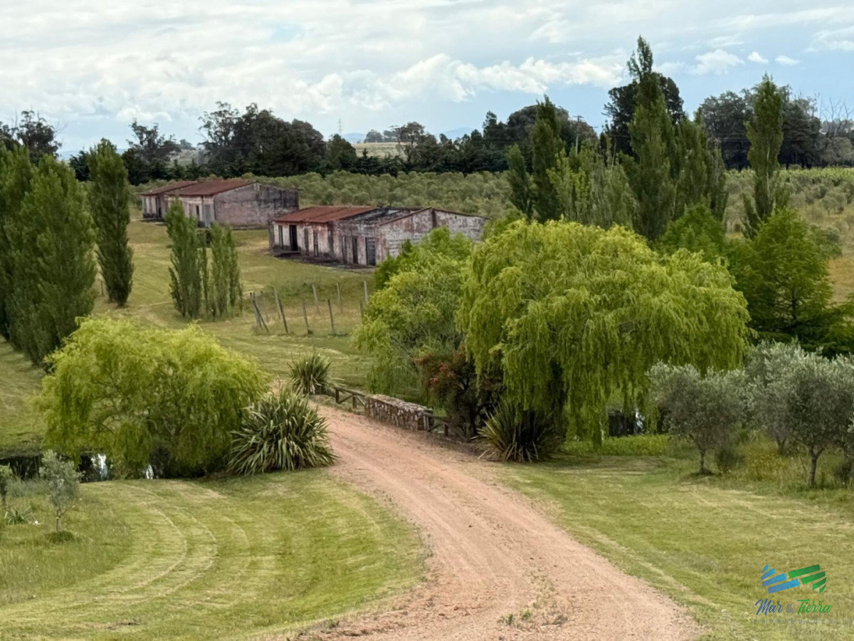 Chacra ID.5646 - Se alquila chacra a 25 minutos de Punta del Este y con las mejores vistas de la laguna del sauce!!!