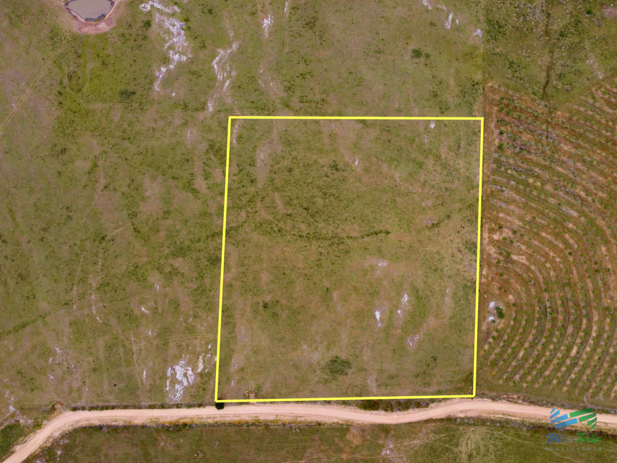 Chacra ID.5628 - En venta chacra 3 hectareas, proxima ruta 39, a pocos km de San Carlos.