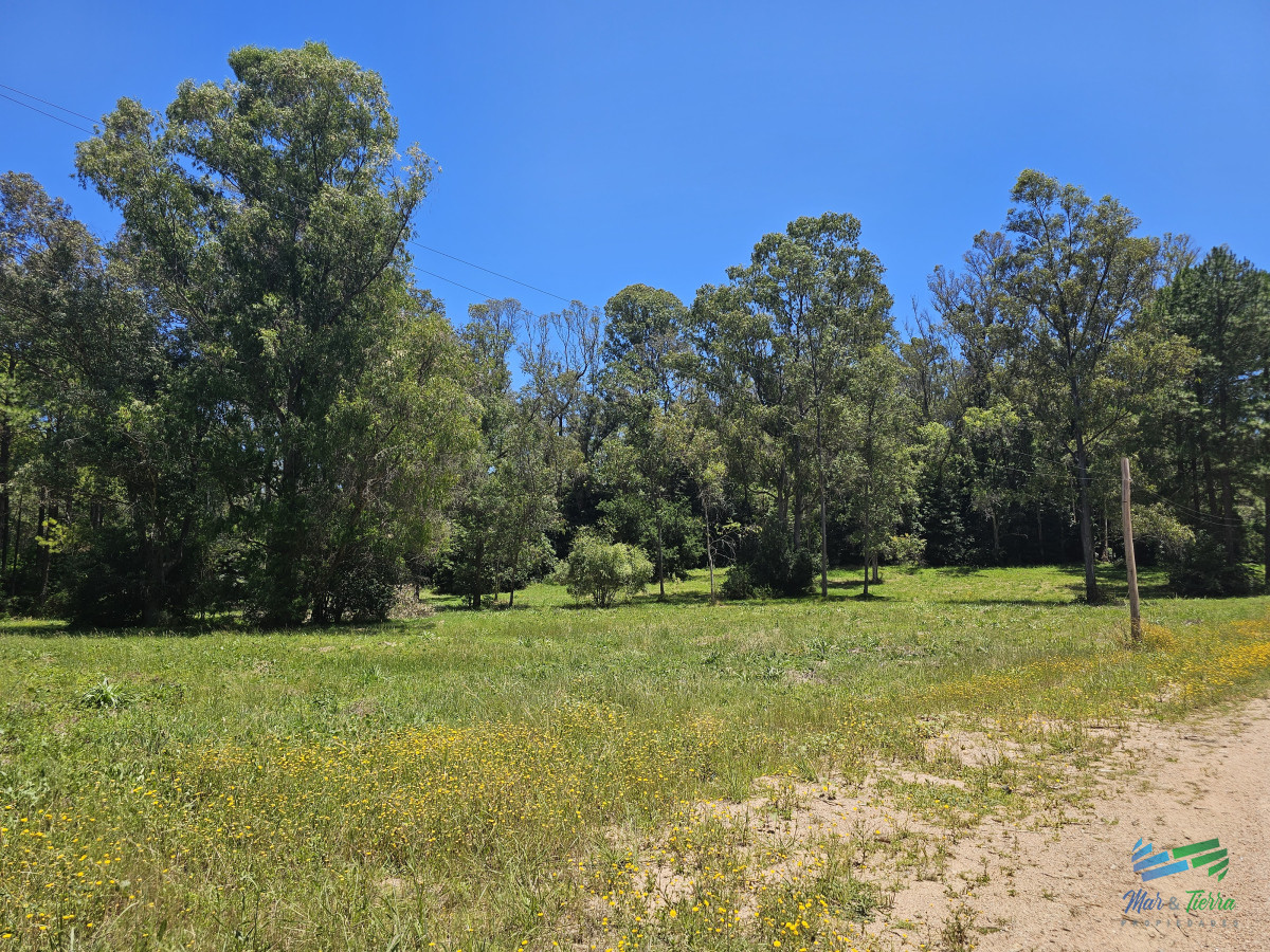 Chacra ID.5298 - En venta chacra de 1 hectarea en Laguna del Diario, Punta del Este