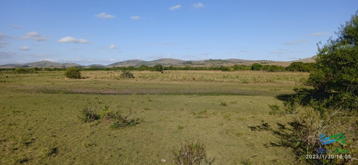 Chacra ID.4188 - Excepcional Casa de campo, Ideal para vivir todo el año, costa de arroyo y a 30 minutos de Punta 