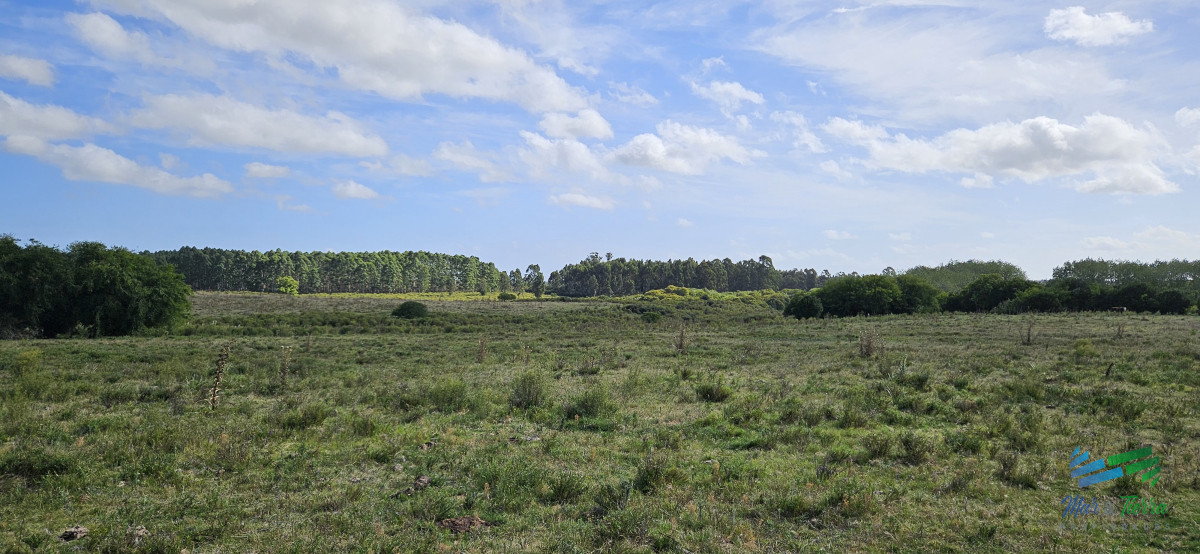 Zona Rural - GoPunta - Portal Inmobiliario de Punta del Este - Maldonado