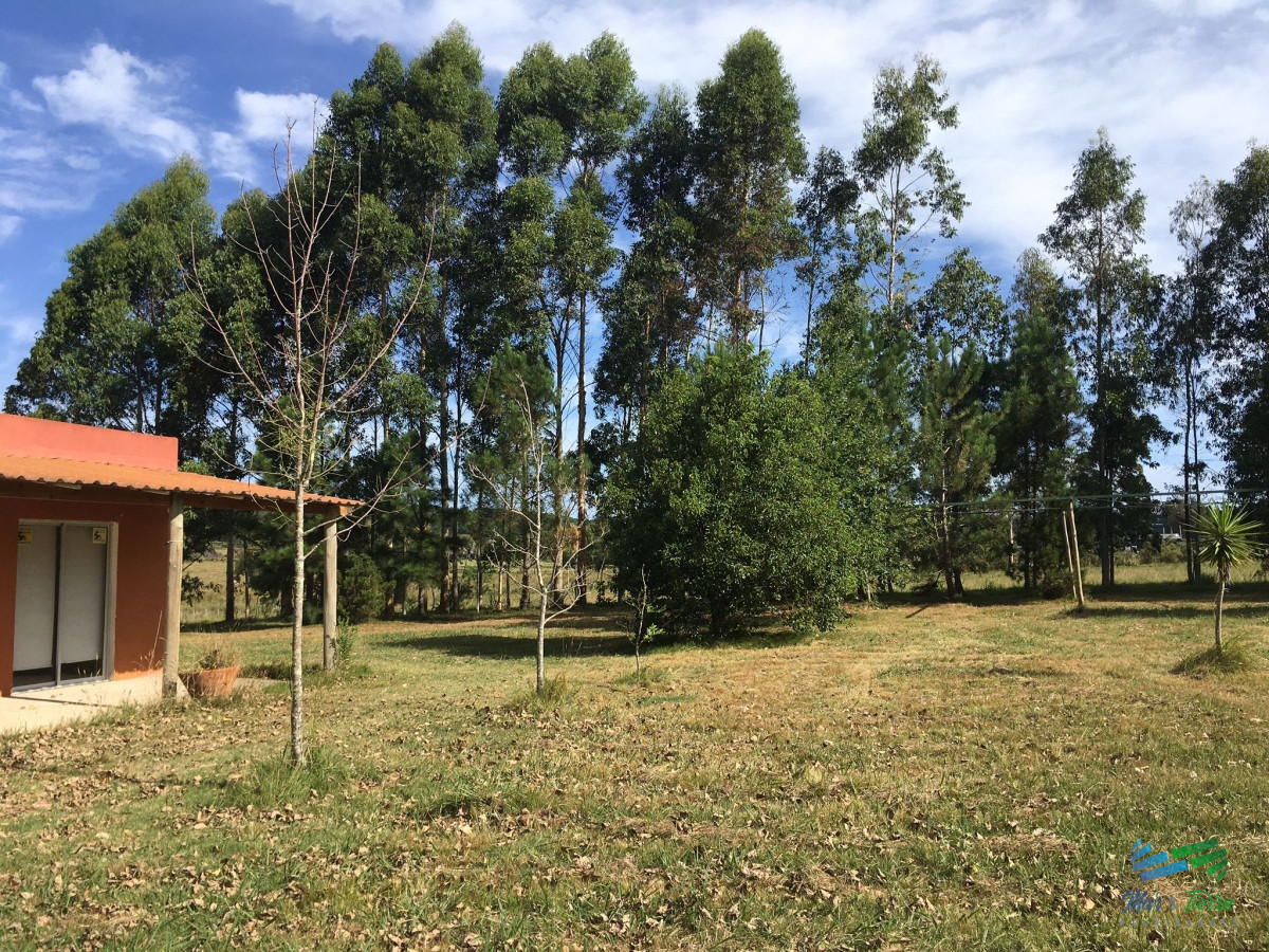 La Pataia - GoPunta - Portal Inmobiliario de Punta del Este - Maldonado