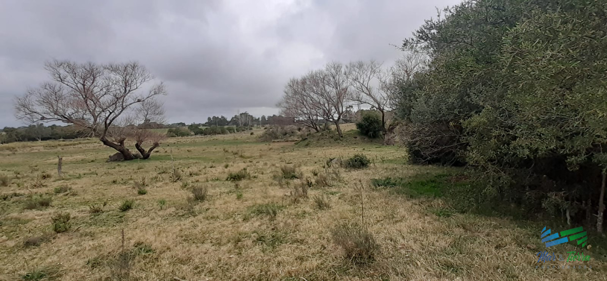 Chacra ID.4236 - 18 Has R.9, Km 80