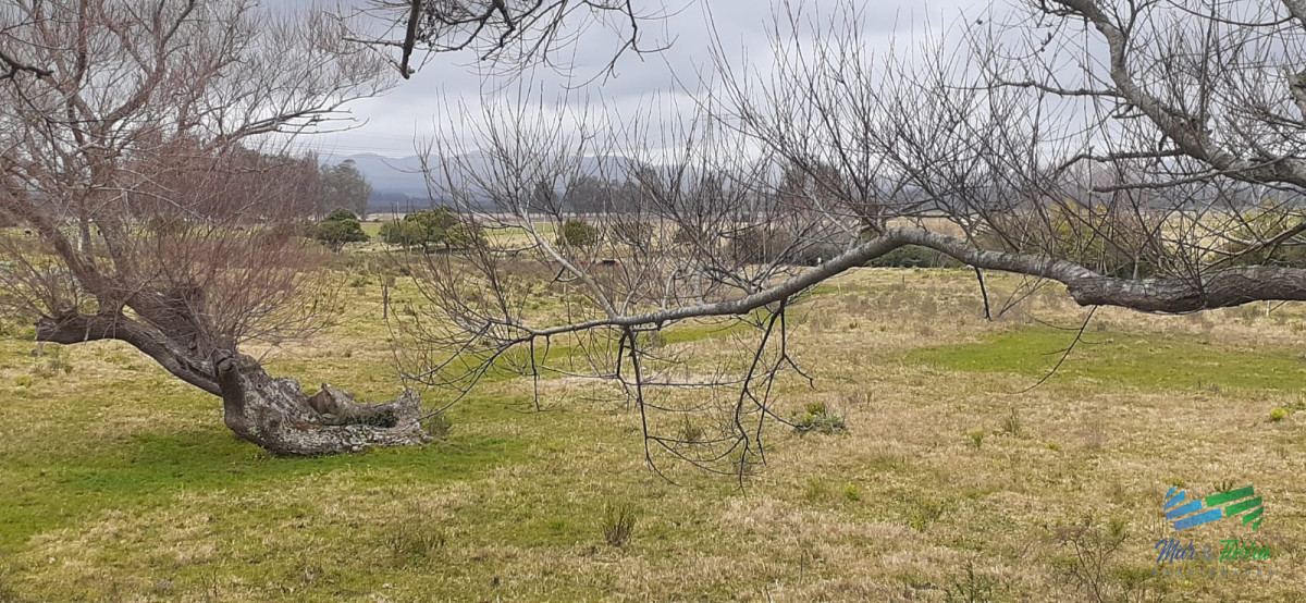Chacra ID.4236 - 18 Has R.9, Km 80