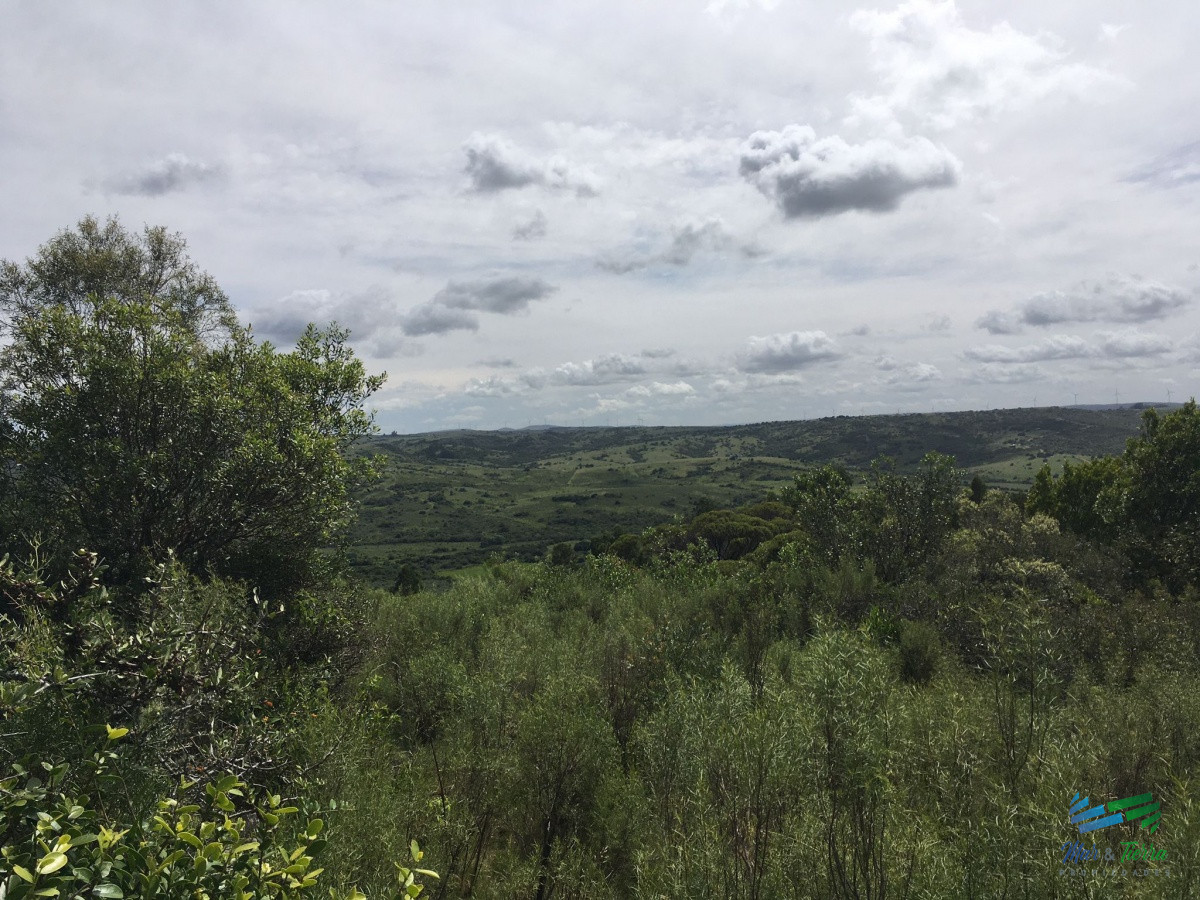 Chacra ID.4144 - Chacras con vistas increibles, monte nativo, naturaleza y tranquilidad