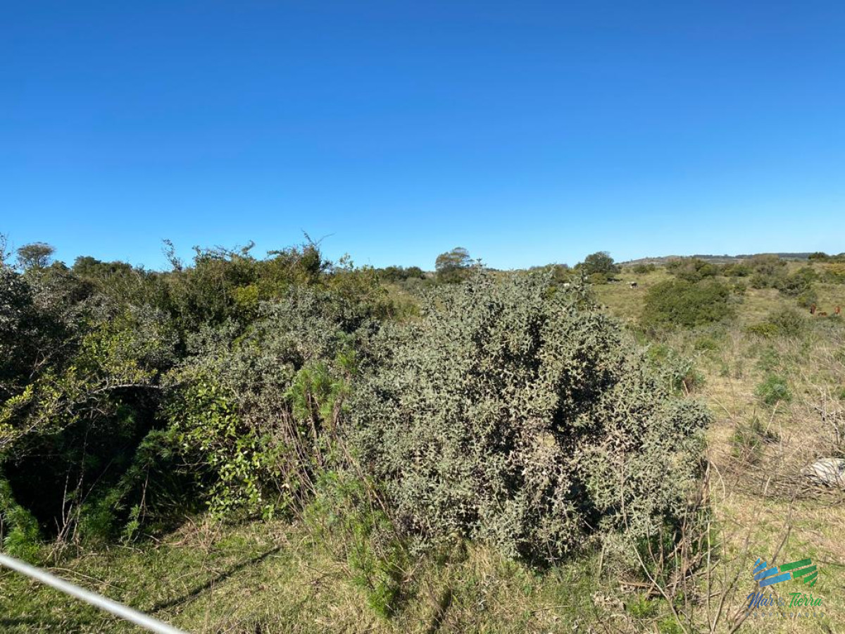 Chacra ID.2869 - En venta, chacra con vistas panorámicas y monte nativo !!!