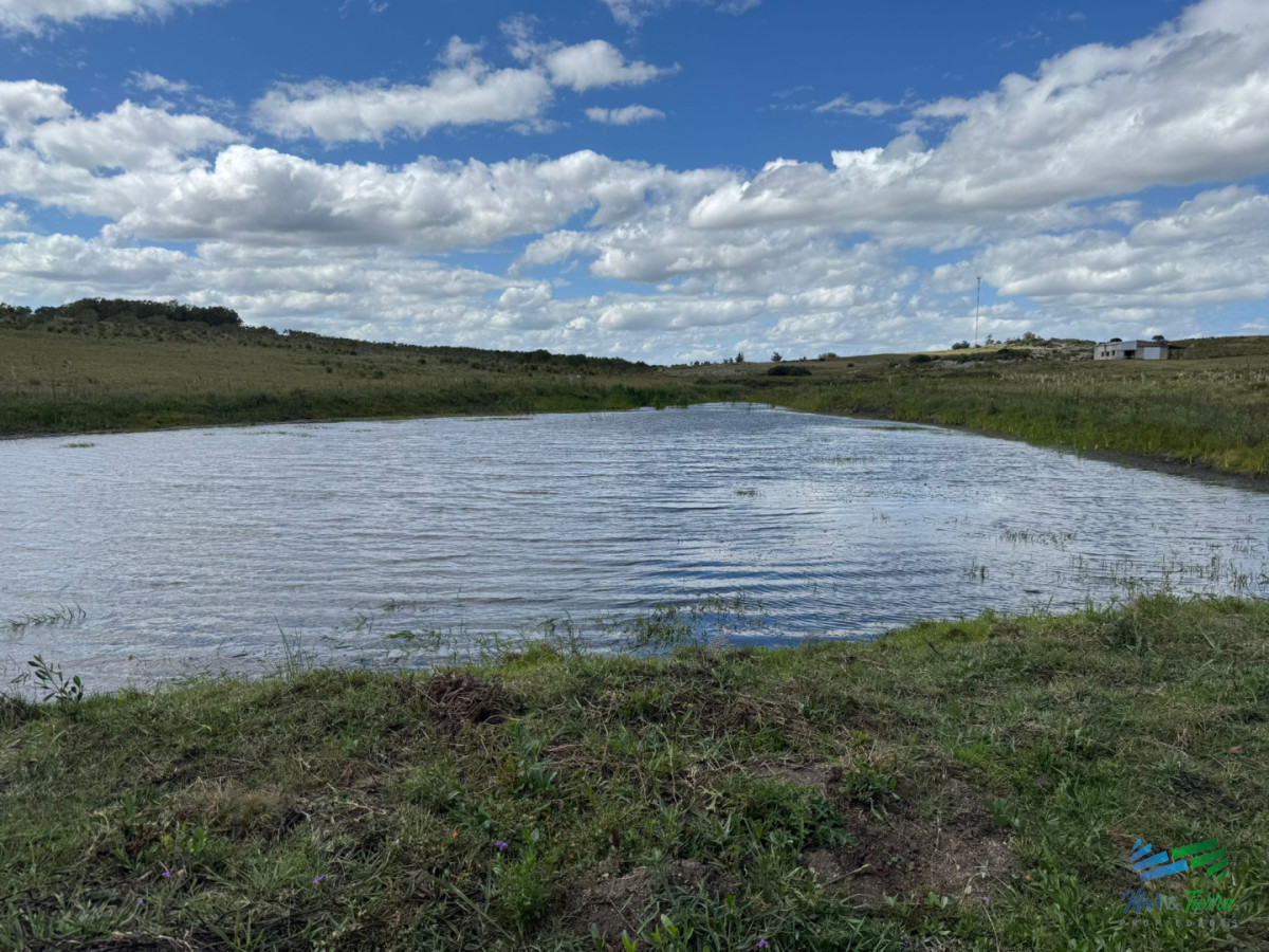 Chacra ID.5738 - En venta chacra 20 hectareas con Olivos en Ruta 9 cerca de Pan de Azúcar.
