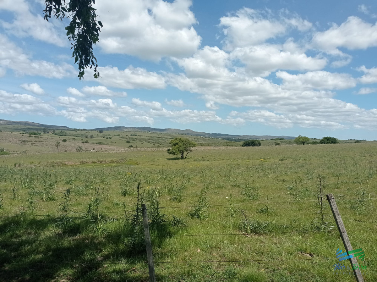 Chacra ID.3505 - Vendo Chacra 5 hectateas con casa en Ruta 39, las cañas