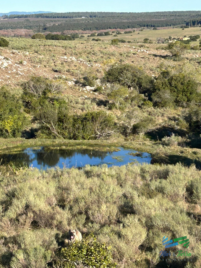 Chacra ID.5358 - 15 Has con todo lo que buscas, vistas increíbles, cañada, tajamar, monte nativo y a tan solo 30 minutos de Punta ! Financia...