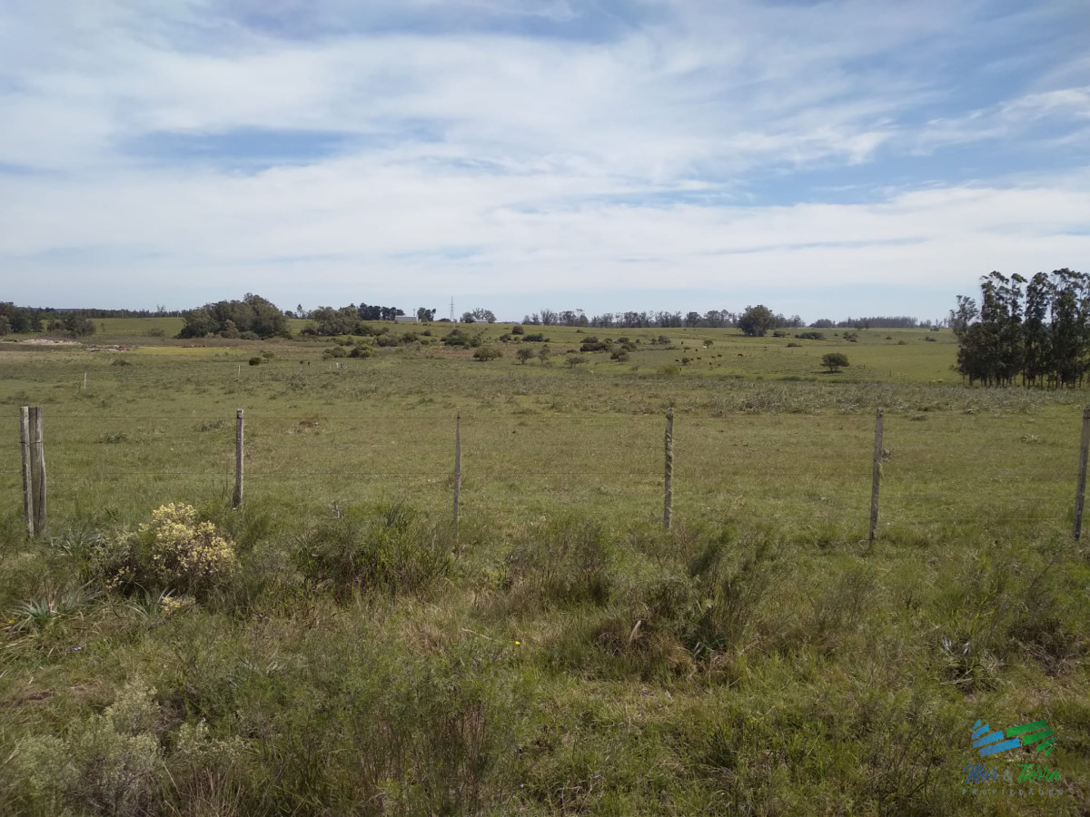 Chacra ID.3782 - 7 Has a 200 mts de Cno Sainz Martínez, José Ignacio