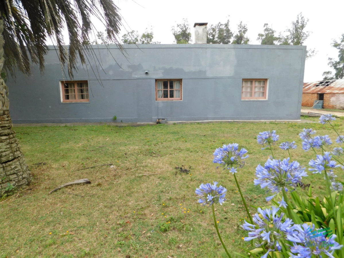 Chacra ID.3680 - 31 Has con casa R.9 (frente entrada Garzon)