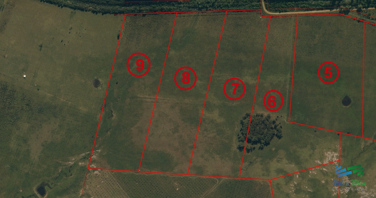 Chacra ID.3098 - Vendo chacras en Ruta 9, entre ruta 12 y Pan de Azucar, Maldonado. FINANCIO.