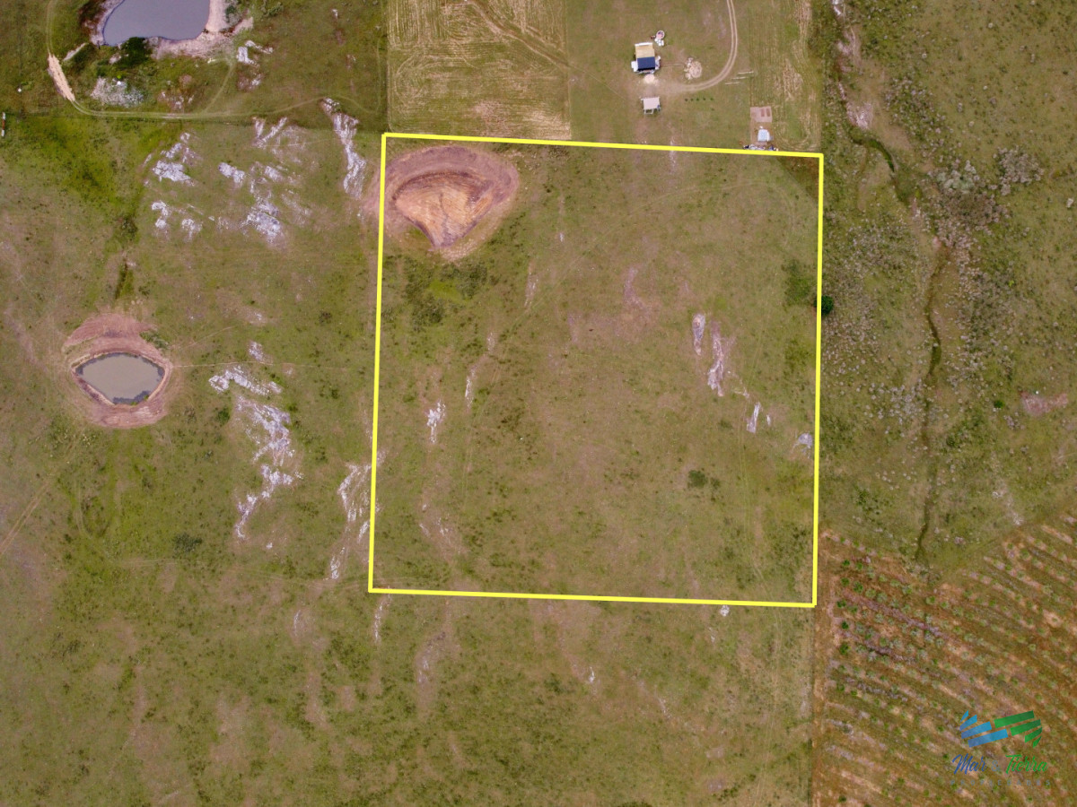 Chacra ID.5635 - En venta chacra 3 hectareas, proxima ruta 39, a pocos km de San Carlos.