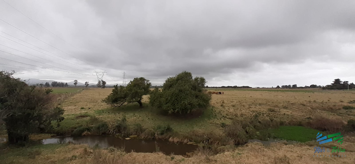 Chacra ID.4236 - 18 Has R.9, Km 80