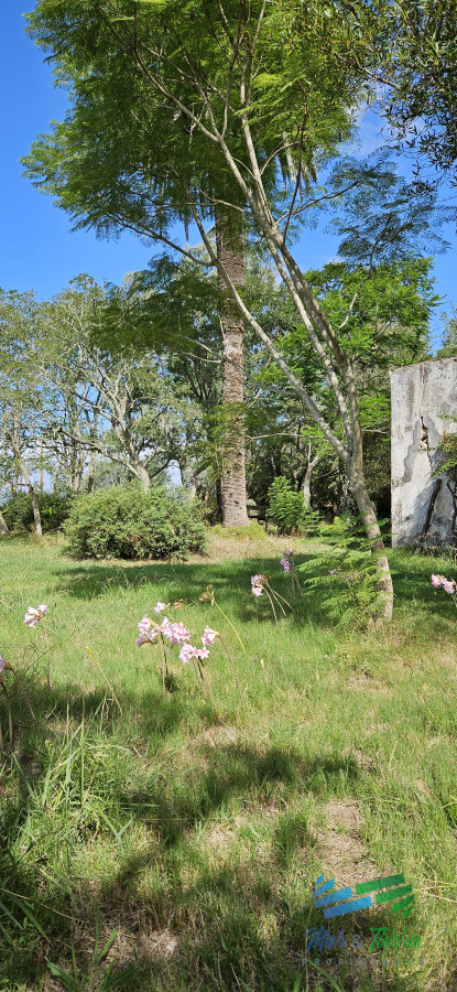 Zona Rural - GoPunta - Portal Inmobiliario de Punta del Este - Maldonado
