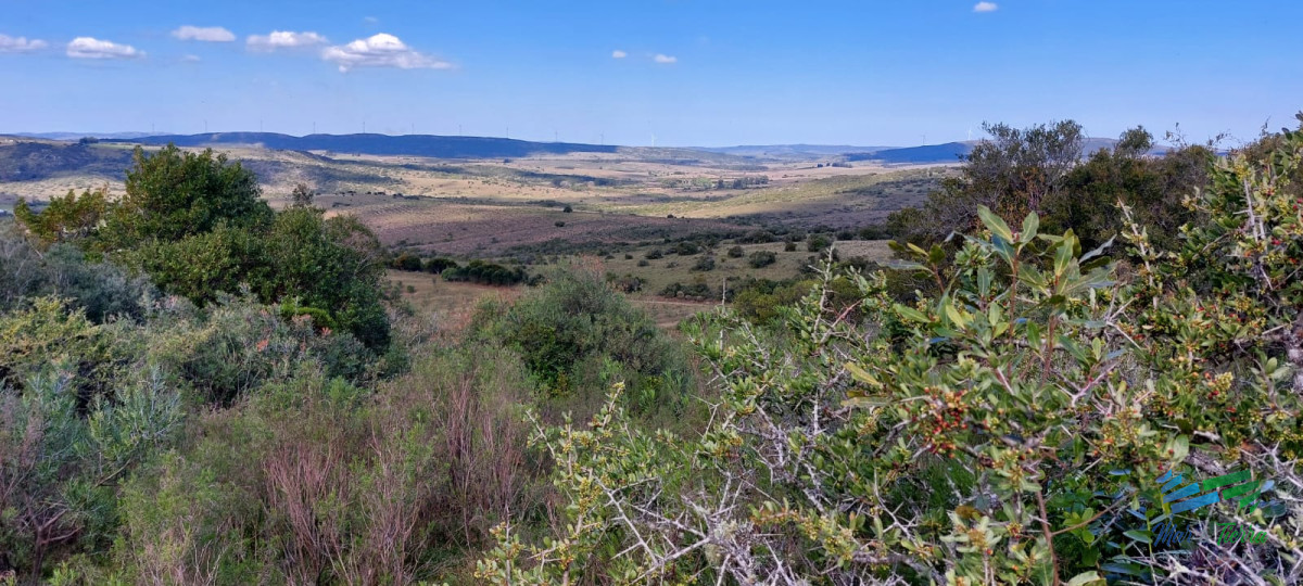 Chacra ID.4140 - 17 Has en plena Sierra de Carape, Monte Nativo y Vistas Privilegiadas