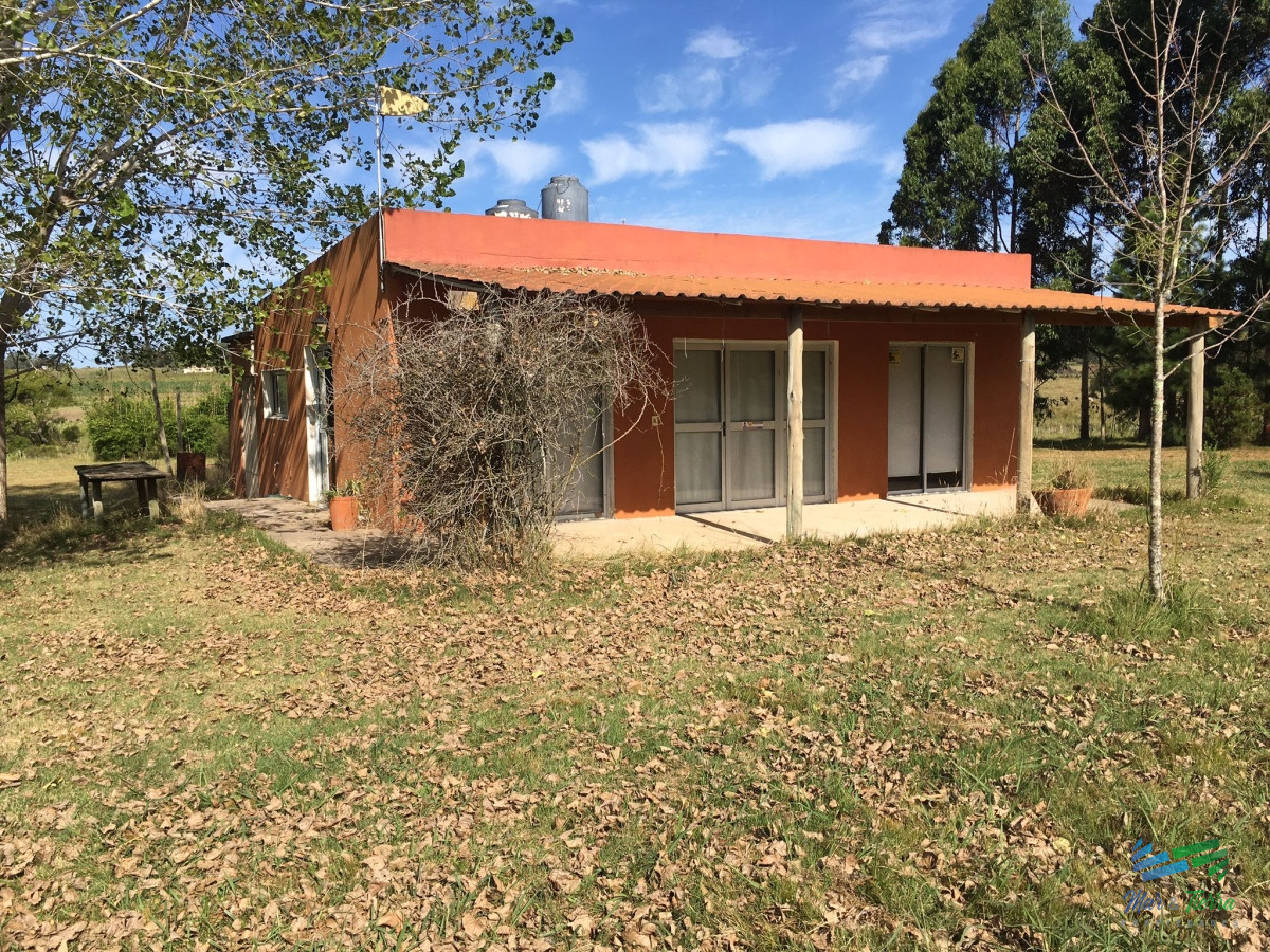 La Pataia - GoPunta - Portal Inmobiliario de Punta del Este - Maldonado