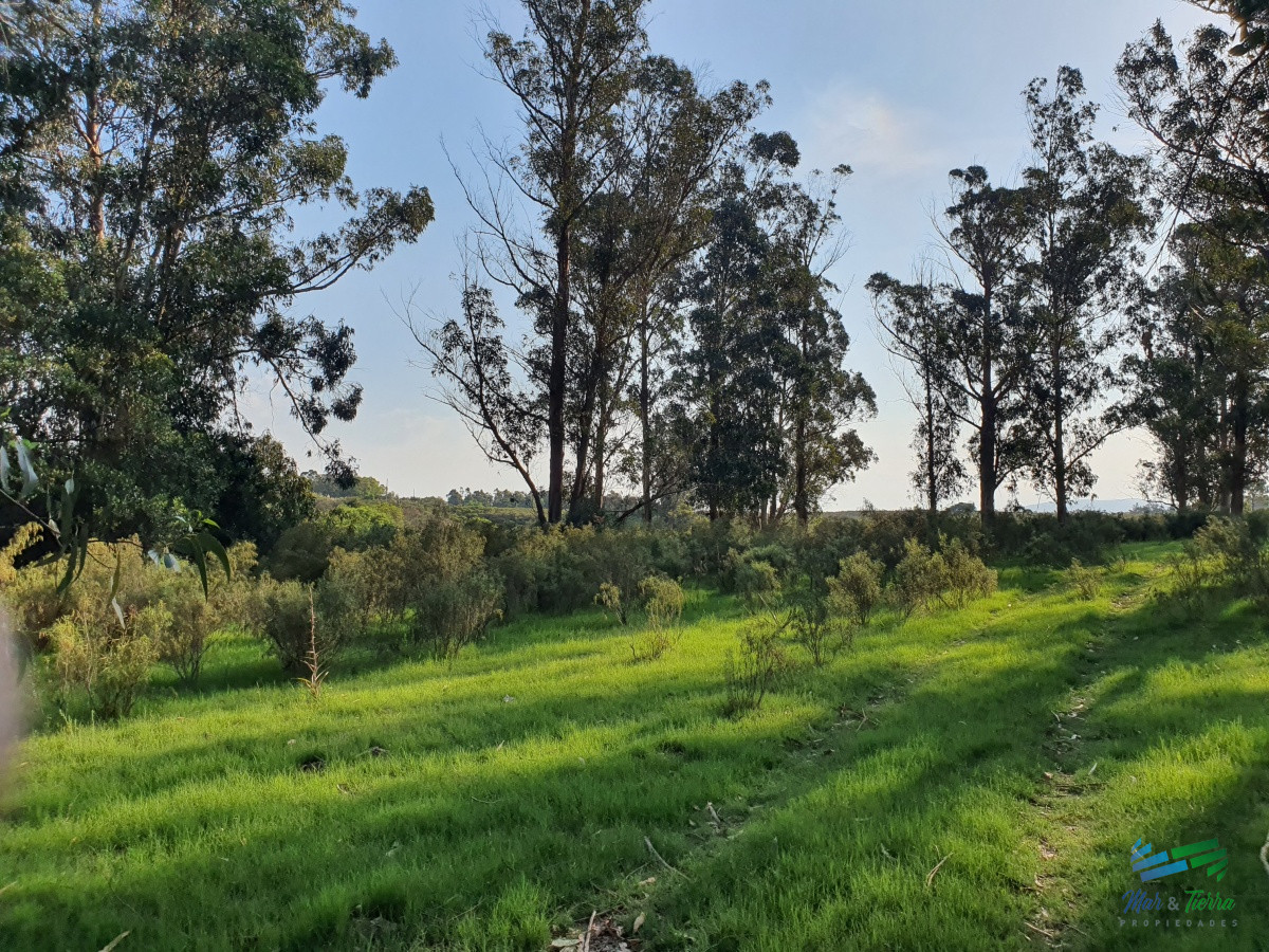 Chacra ID.4349 - Vendo chacra ruta 9, cerca de Pan de Azúcar, Maldonado. A 45´ de Punta del Este. Financia.